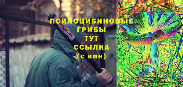 2c-b Алексин