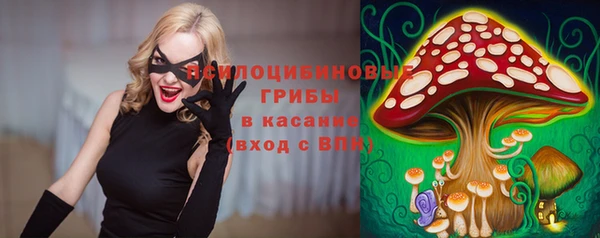 2c-b Алексин
