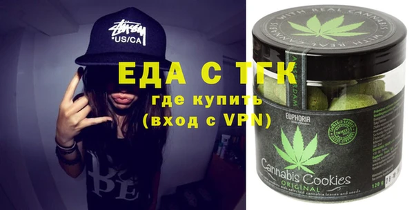 индика Инта