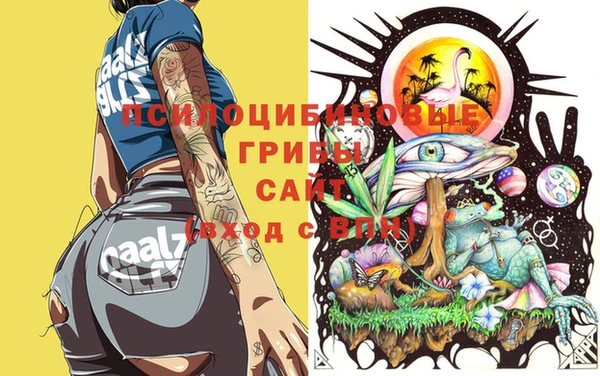 2c-b Алексин