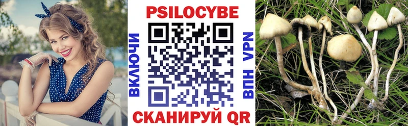 это состав  Игра  Псилоцибиновые грибы MAGIC MUSHROOMS 