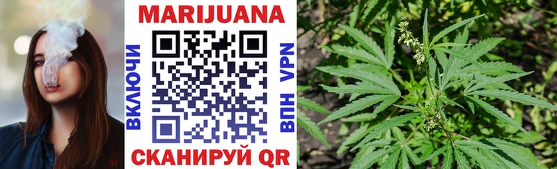 Бошки Шишки VHQ  Игра 